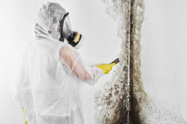 Best Emergency Mold Removal  in Marshall, MO