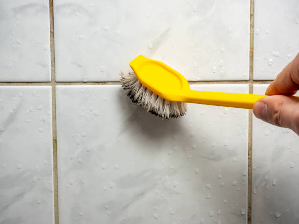 Best Mold Cleaning Services  in Marshall, MO