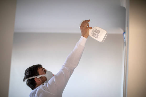 Best Black Mold Removal  in Marshall, MO