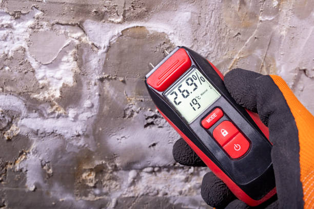 Best Mold Removal Near Me  in Marshall, MO