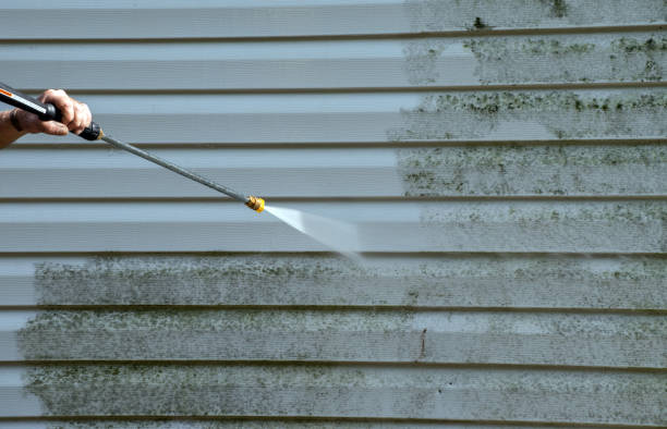 Best Certified Mold Removal  in Marshall, MO