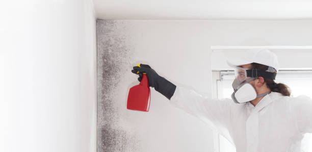 Best Mold Testing  in Marshall, MO