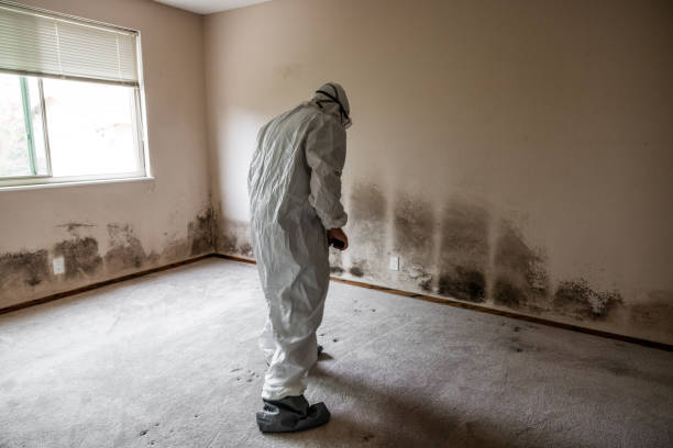 Best Residential Mold Removal  in Marshall, MO